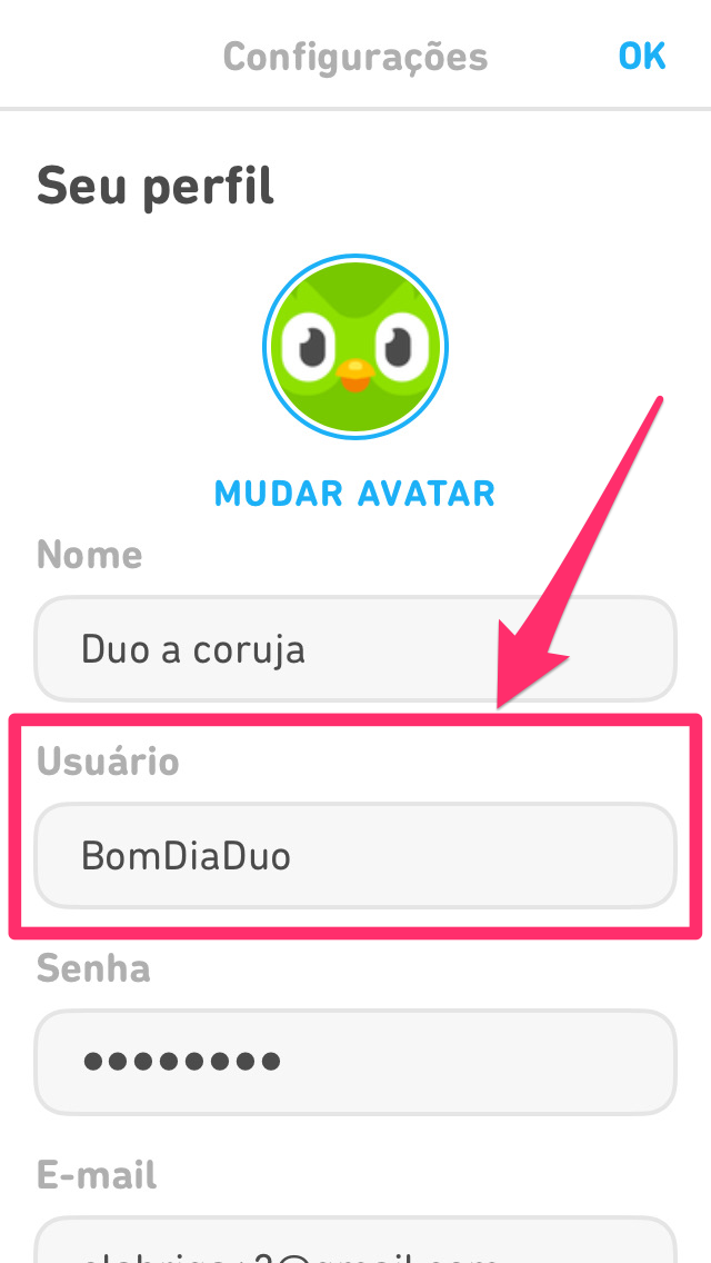 Qual é o meu nome de usuário? – Central de Ajuda do Duolingo