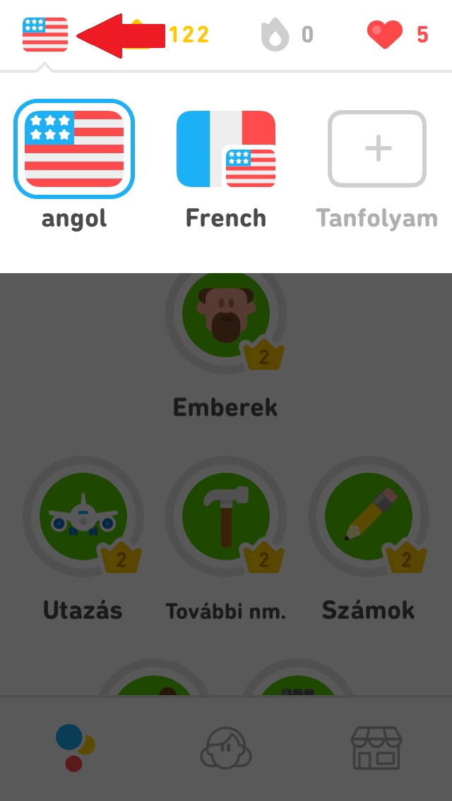 How_do_I_switch_my_Duolingo_2.JPG