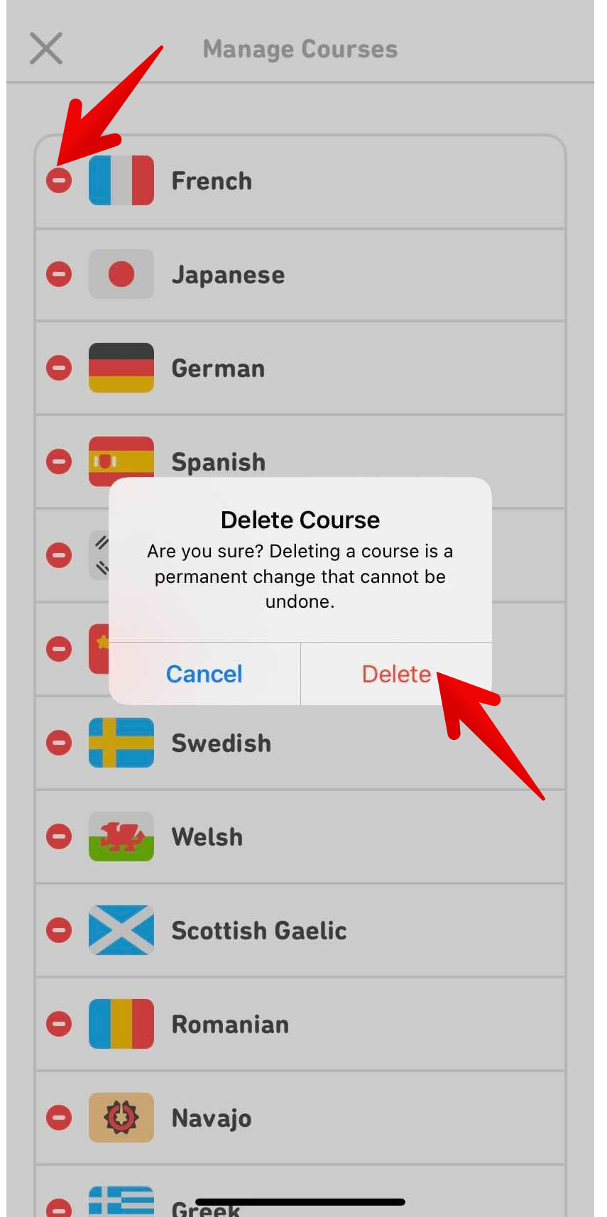 How do I reset or remove a language from my Profile? – Duolingo